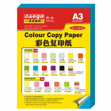 文仪易购彩色a4纸 、打印、 复印纸 、幼儿园儿童手工折纸、80gA3浅色彩色系列